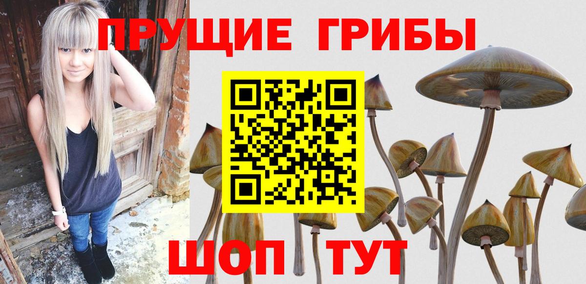 Галлюциногенные грибы MAGIC MUSHROOMS  Галлюциногенные грибы Psilocybe  Рузаевка  Вход с VPN 