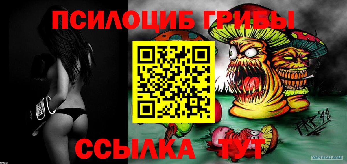 Галлюциногенные грибы прущие грибы Рузаевка